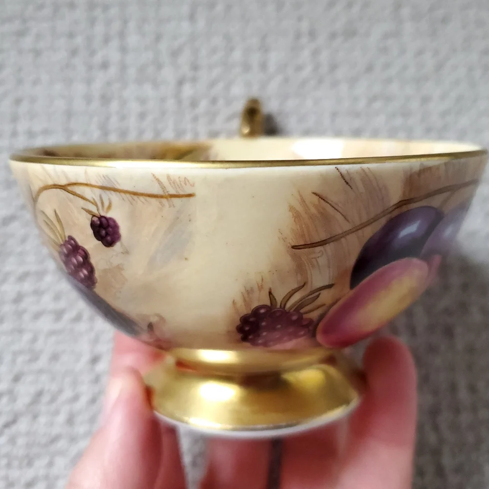 Aynsley Fine English Bone China Orchard Gold Teacup and Saucer